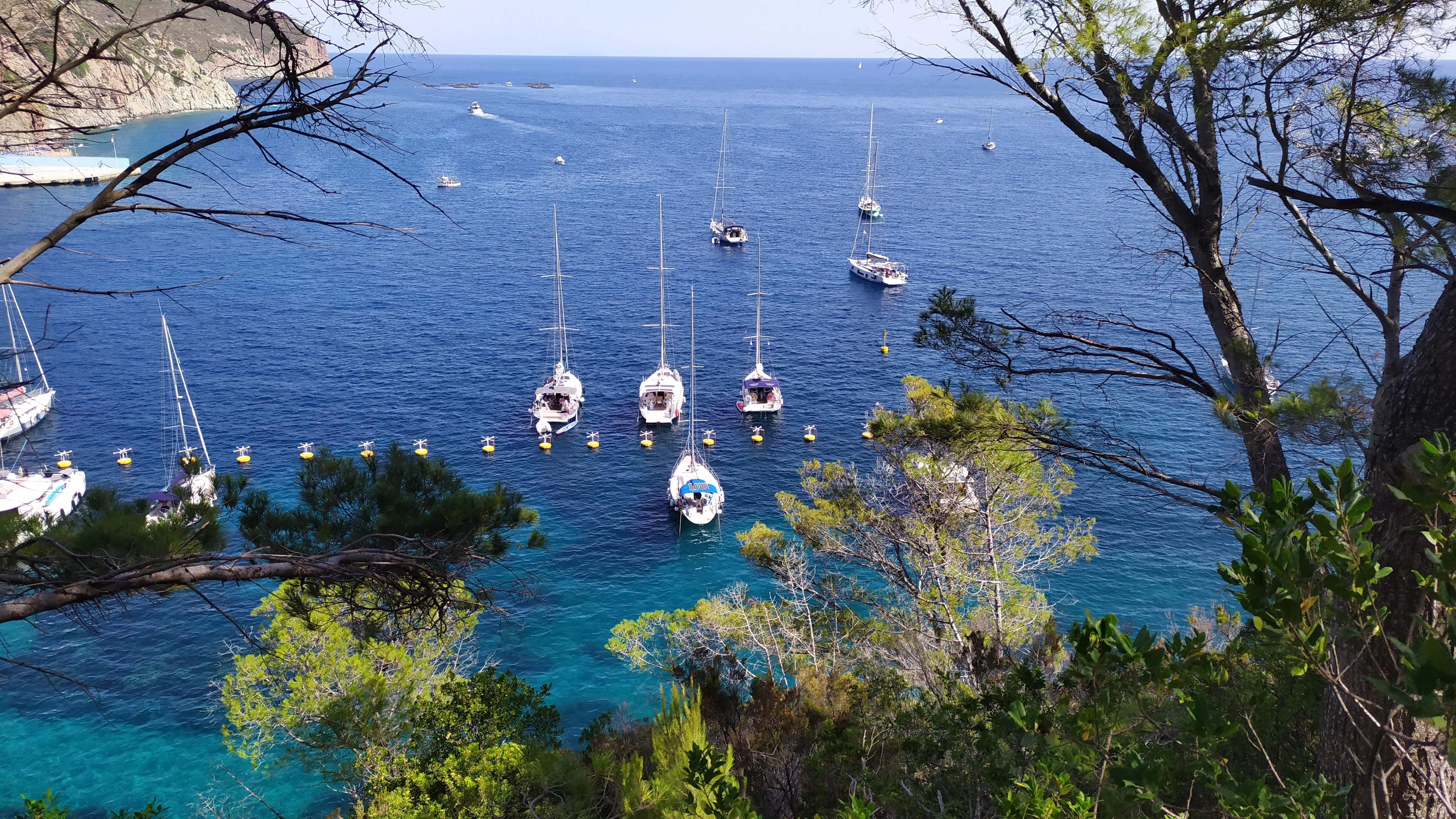 Isola di Capraia